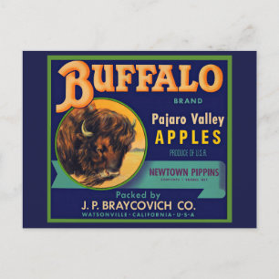 1930s Buffalo Brand Apples crate label Postcard