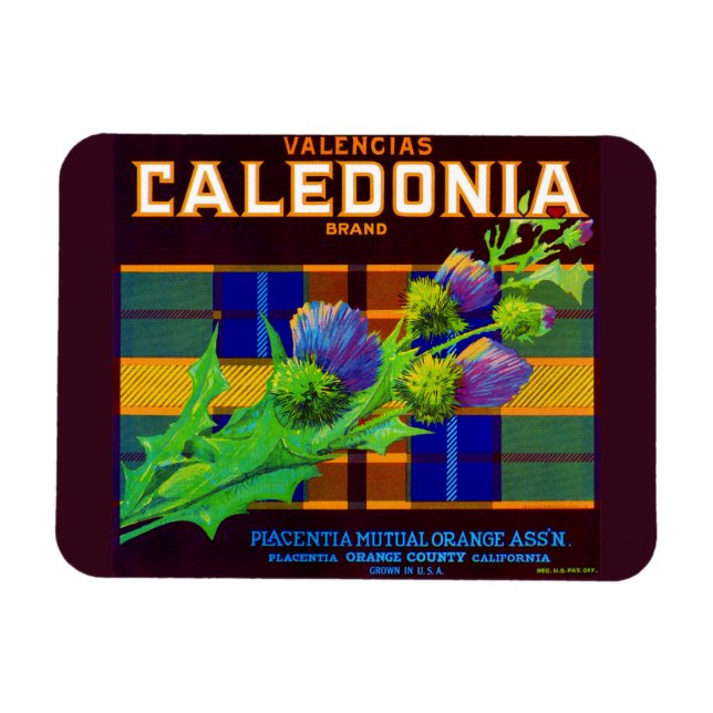 1930s Caledonia orange crate label Magnet (Horizontal)