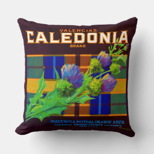 1930s Caledonia orange crate label Throw Pillow