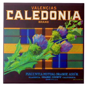 1930s Caledonia orange crate label Tile