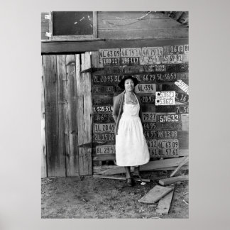 1930s License Plate Collection Poster