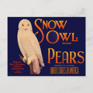 1930s Snow Owl brand pears fruit crate  label Postcard