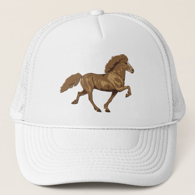 1930's Vintage Icelandic Trucker Hat (Front)