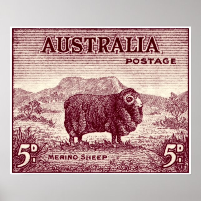1934 Australian Merino Sheep Poster (Front)