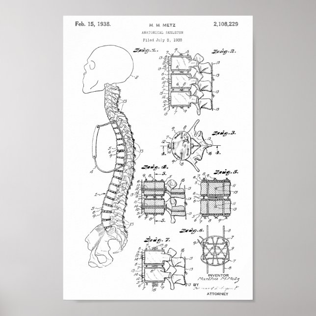 1938 Vintage Spine Model Patent Art Print (Front)