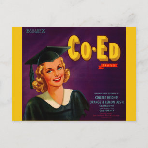 1940s Co-Ed Brand citrus crate label Postcard