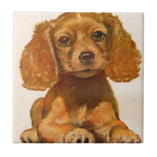 1940s cocker spaniel puppy - The Cutest in History Tile