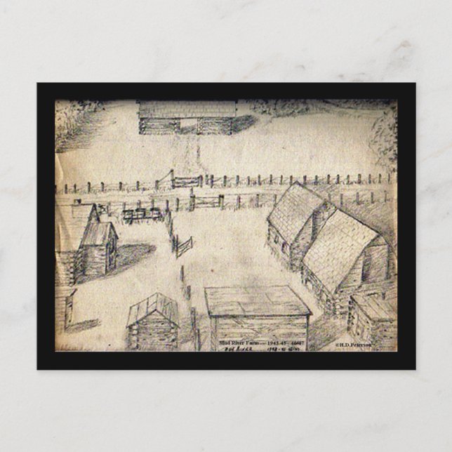 1940s Farm Sketch Postcard (Front)