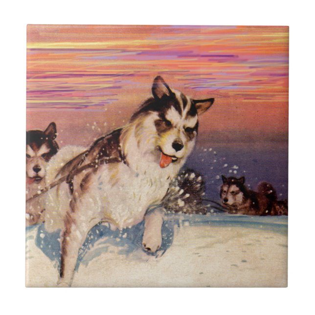 1940s Siberian husky sled dogs doing their thing Tile (Front)
