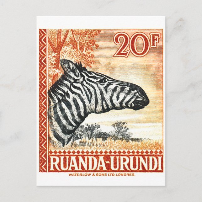 1942 Ruanda Urundi Zebra Postage Stamp Postcard (Front)