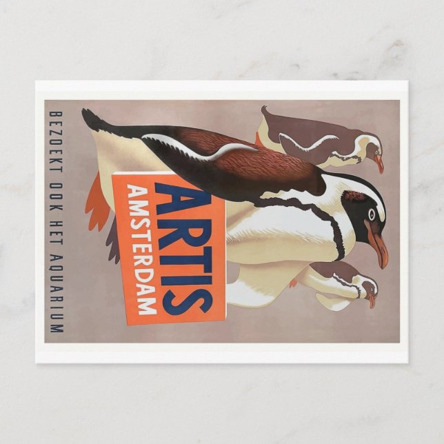 1947 Artis Zoo Amsterdam Penguins Poster Postcard (Front)