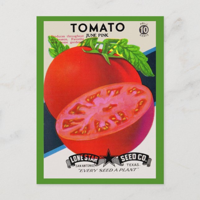  1950s seed packet tomato postcard (Front)