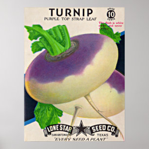  1950s seed packet turnips poster