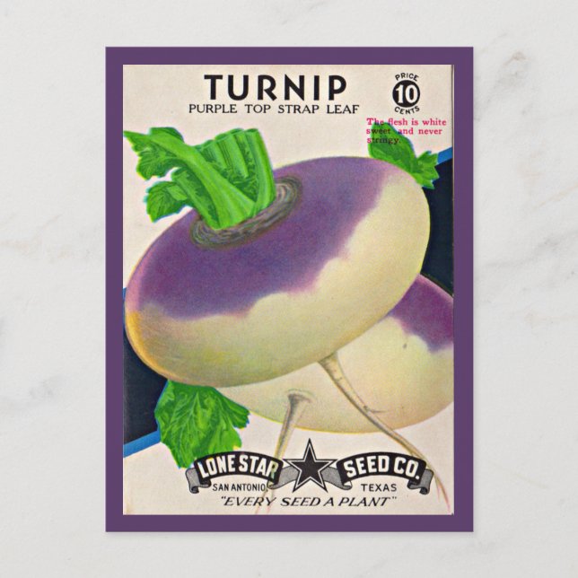 1950s seed packet turnips print postcard (Front)