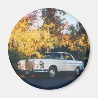 1965 Mercedes-Benz 220SEb coupe Magnet