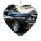 1969 Chevelle Photography