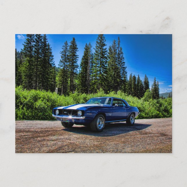 1969 super sport camaro muscle car postcard (Front)