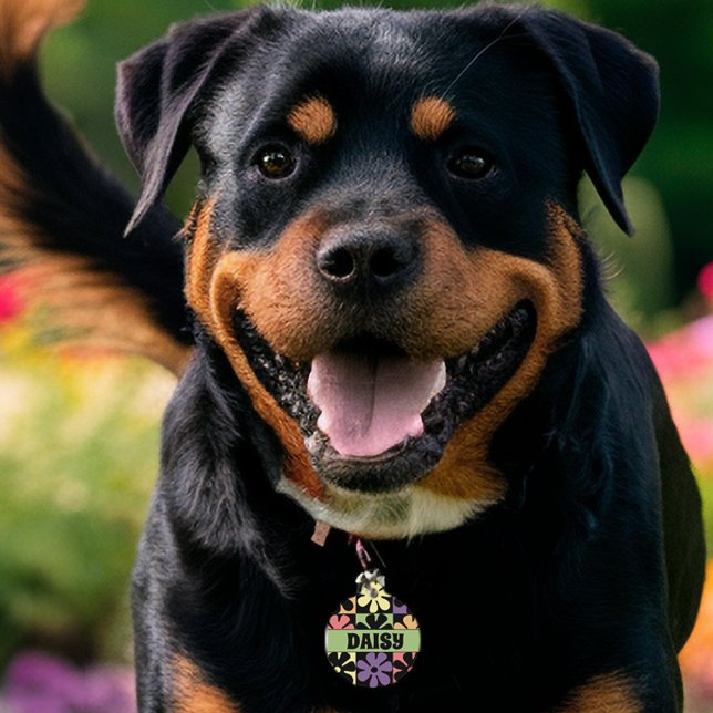 1970s Retro Daisies Pet Tag (Creator Uploaded)