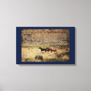 1971 Wild Free Roaming Horses & Burros Act Canvas Print