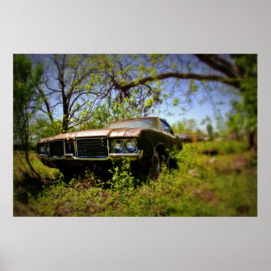 1972 Cutlass Soft Focus Poster
