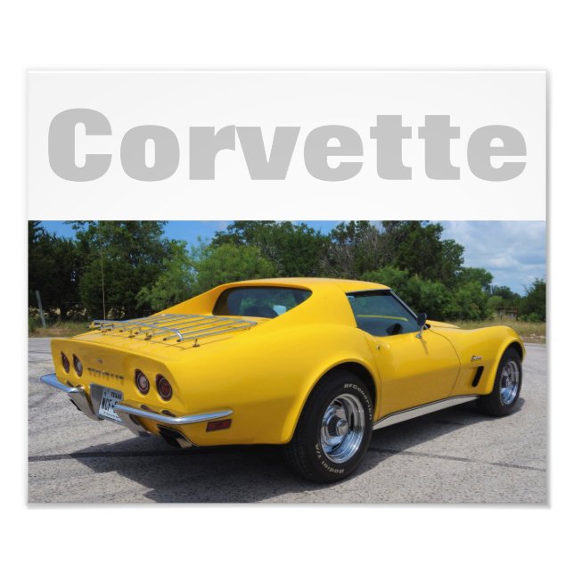 1973 Corvette Stingray Designer Photo Print (Front)