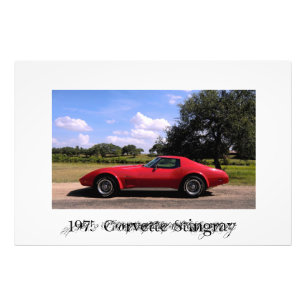 1975 Corvette Stingray Photo Print