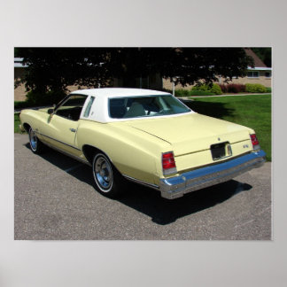 1977 Chevrolet/Chevy Monte Carlo Poster