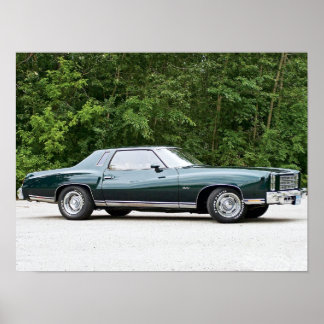 1977 Chevrolet/Chevy Monte Carlo Poster