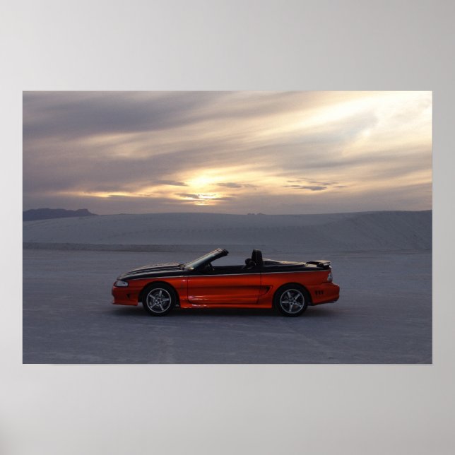 1995 Stang Convertible Poster (Front)