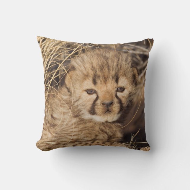 19 days old male cub. Namibia Throw Pillow (Front)