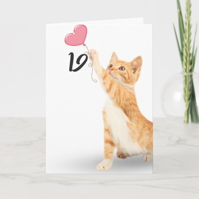 19th birthday tabby cat card (Front)