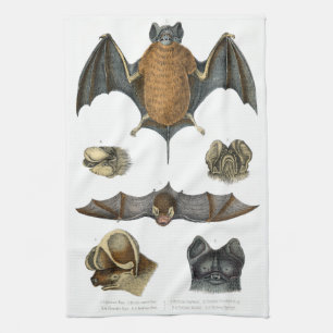 19th C. Bat Print Kitchen Towel