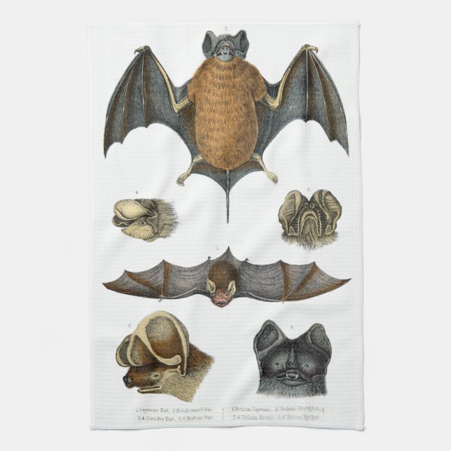 19th C. Bat Print Kitchen Towel (Vertical)