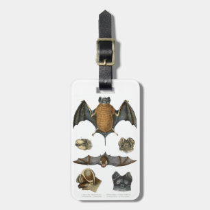 19th C. Bat Print Luggage Tag