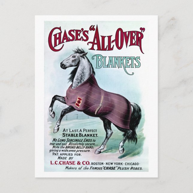 19th C. Chase Horse Blankets Postcard (Front)