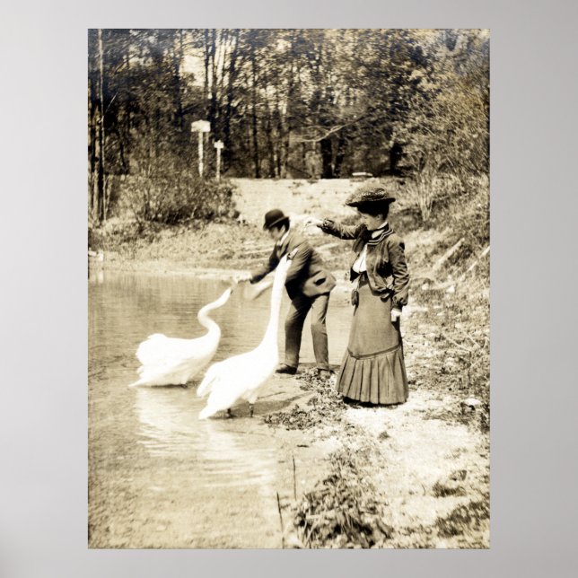 19th C. Swans in Paris Poster (Front)