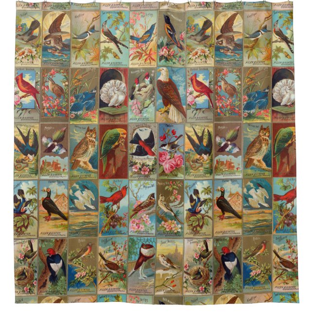 19th Century Birds of America Illustrations (Front)