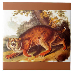 19th century bobcat print tile