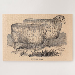 19th century Cotswold ewes print Jigsaw Puzzle