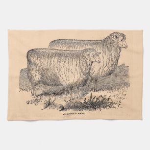 19th century Cotswold ewes print Kitchen Towel