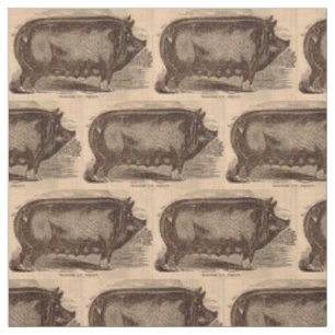 19th century farm animal print Berkshire sow breed Fabric