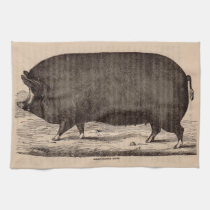 19th century farm animal print Berkshire sow pig Kitchen Towel
