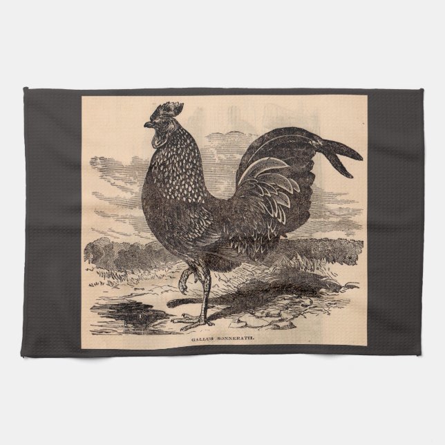 19th century Gallus Sonneratii rooster print Kitchen Towel (Horizontal)