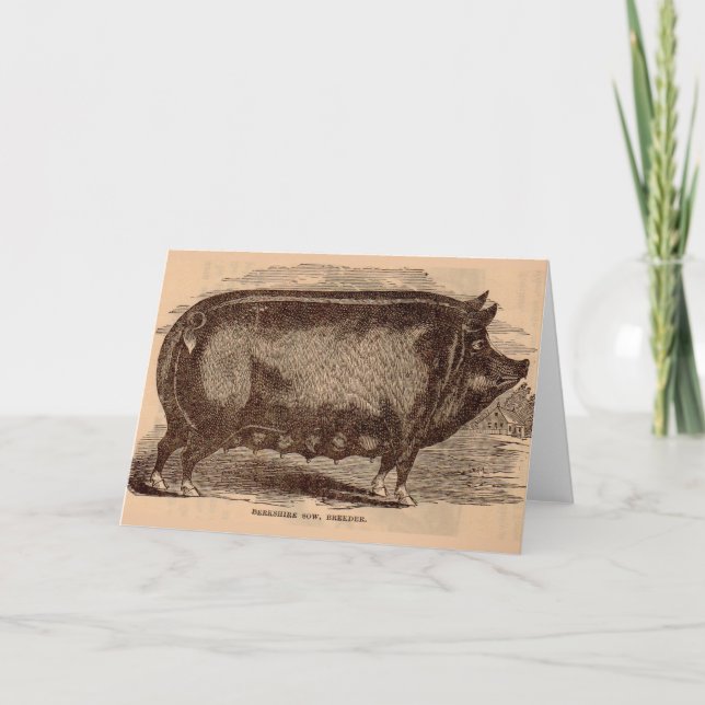 19th century pig print Berkshire sow no. 1 Card (Front)