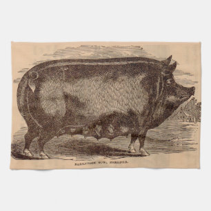 19th century pig print Berkshire sow no. 1 Kitchen Towel