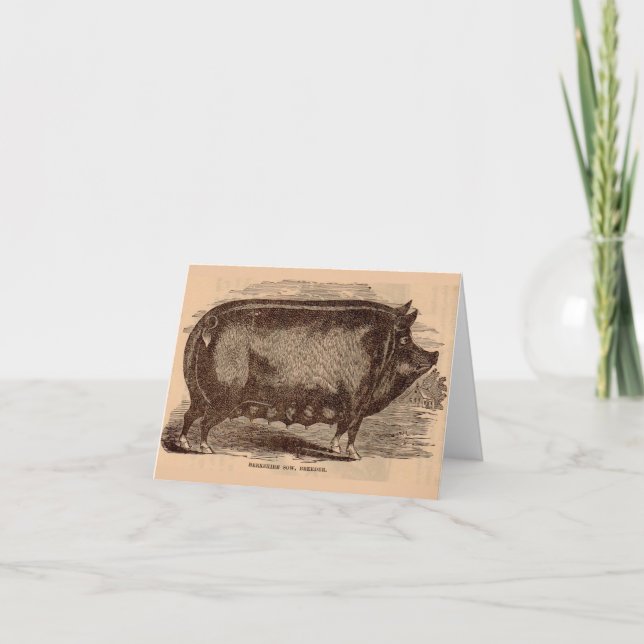19th century pig print Berkshire sow no. 1 Note Card (Front)