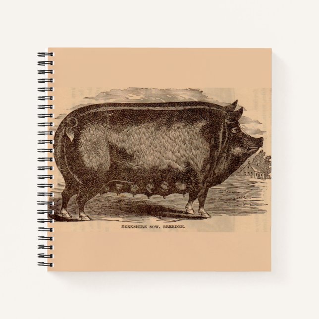 19th century pig print Berkshire sow no. 1 Notebook (Front)