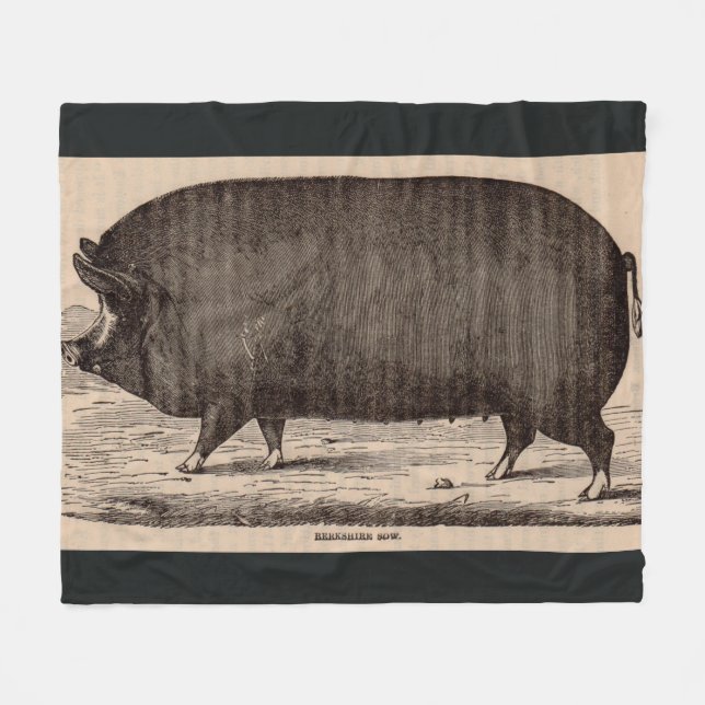 19th century pig print Berkshire sow no. 2 Fleece Blanket (Front (Horizontal))