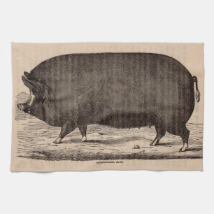 19th century pig print Berkshire sow no. 2 Kitchen Towel