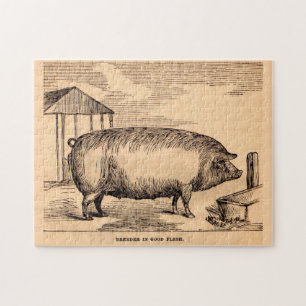 19th century pig print ‘Breeder in Good Flesh’ Jigsaw Puzzle
